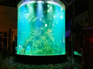 фарфор қымбат емес супер үлкен дөңгелек пьюмма шыны аквариумы мөлдір цилиндрлік акрилді балық цистерналары