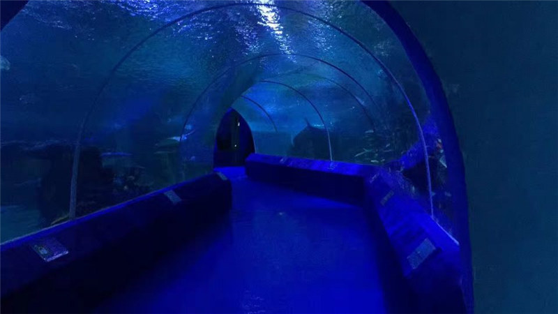 Аквариум туннеліне арналған 180 немесе 90 градустық акрил панелдері