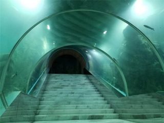 Акрилді тоннель аквариумының жобалық бағасы