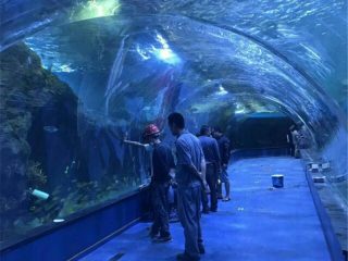 Ашық аквариумдағы туннельдер океанариум жобасы