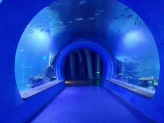 Түрлі пішіндегі жоғары акрил туннелінің аквариумы